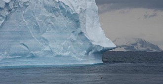 Antarktika'da rekor sıcaklık