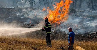 İspanya'daki orman yangınında 250…