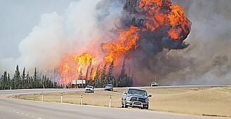 Kanada'da orman yangınları olağanüstü…