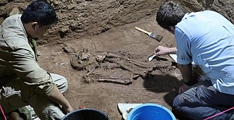 31 bin yıl öncesine ait iskelet, tarihe…