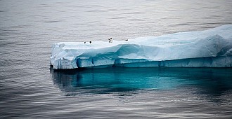 Antarktika'daki 'kıyamet buzulu'…