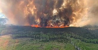 Kanada'da orman yangınları nedeniyle…