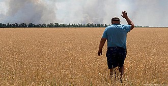 Ukrayna savaşı ve tahıl: Beş gerçek