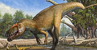 Avrupa'nın 'en büyük dinozoru'…