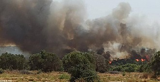 Rodos Adası'nda orman yangını çıktı