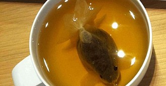 Çay fincanında Japon balığı
