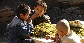 Çinliler Uygur çocuklarını ailelerinden…