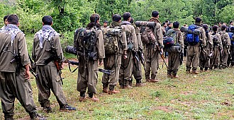 PKK Nisan'da silah bırakabilir