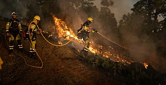 İspanya'daki orman yangını nedeniyle…