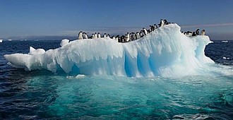 Antarktika'da rekor sıcaklık