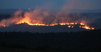 Bulgaristan'daki yangın Edirne'nin…