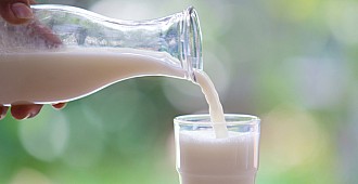 Dünya Süt Günü: Bir Bardak Dolusu Sağlık
