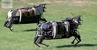 ABD ordusunda robot köpekler