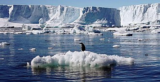 Antarktika tahmin edilenden iki kat fazla…