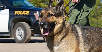 ABD'de polis köpeği davası...