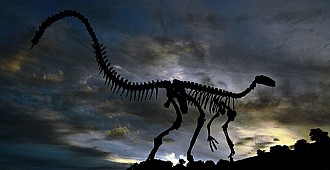 Dinozorlar neden yok oldu?..