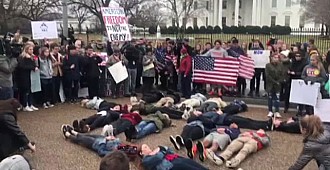 Beyaz Saray önünde "silah yasası"…