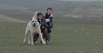 "Sivas" Türkiye'nin Oscar…