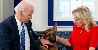Biden'ın köpeği Gizli Servis personelini…