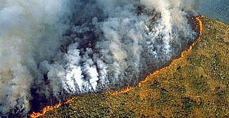 G7'de gündem Amazon yangınları