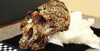 2 milyon yıllık insan kafatası bulundu