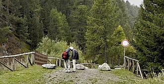 Göçmenler İtalya Alpleri'ni yürüyerek…