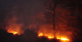 Anamur'daki orman yangını sürüyor