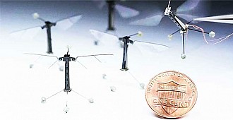 100 miligramlık robot arı!..