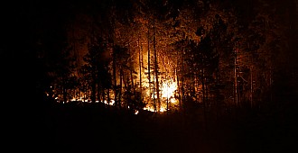 Kış ortasında orman yangını!..