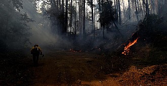 California eyaletinde yangınlar sürüyor