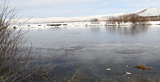 Soğuk hava yüzünden nehir dondu