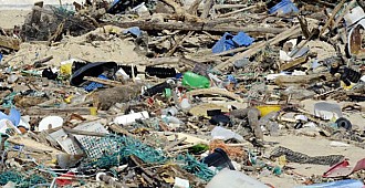 Akdeniz plastik çöplüğüne dönüştü