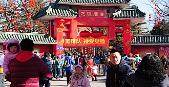 Çin'de horoz yılı rengarenk