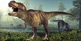 Dünyada 2.5 milyar dinozor türü yaşamış