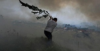 Portekiz'de orman yangınlarında 17…